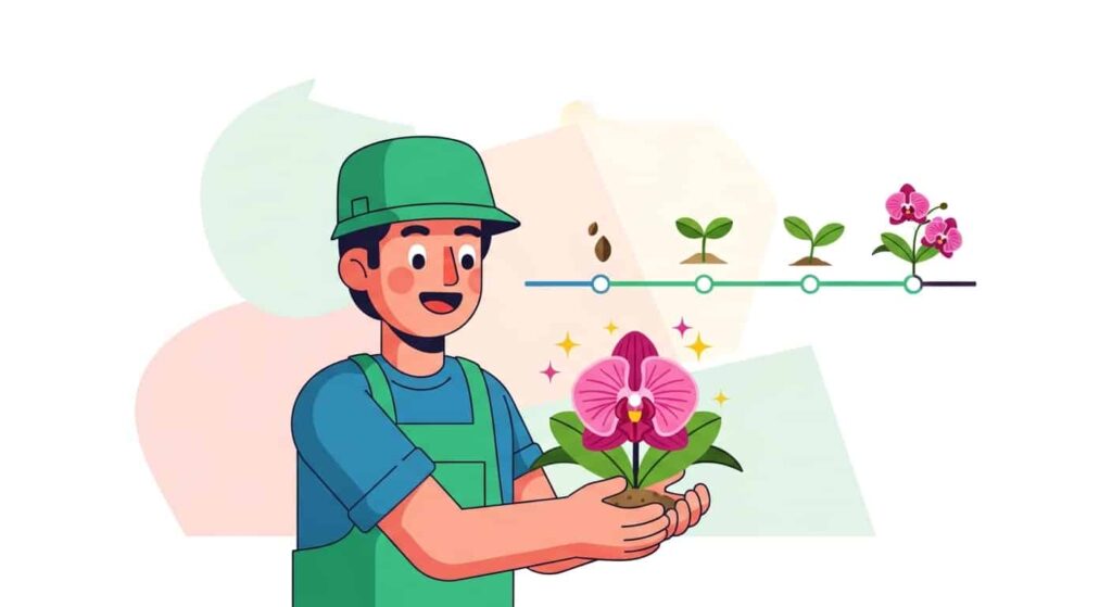 Conclusion - how to plant orchid seeds