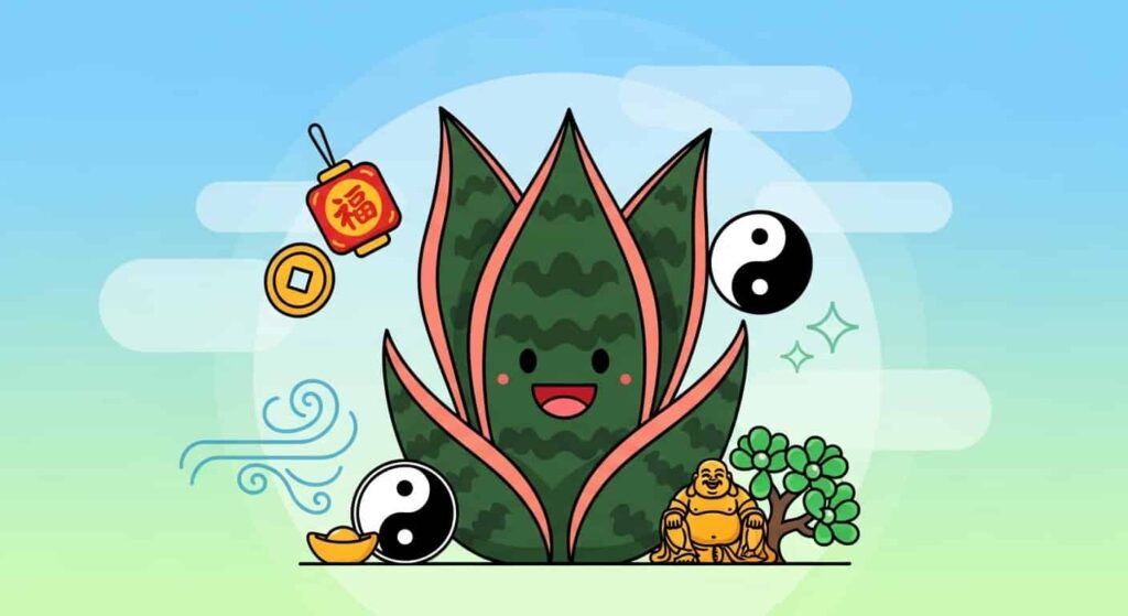 XII. Fun Facts and Cultural Significance of black coral snake plant