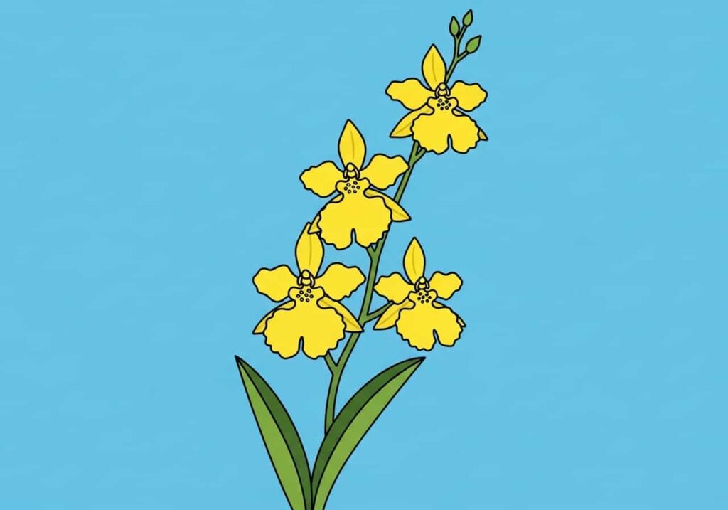 Cartoon of a yellow Dancing Lady orchid resembling tiny ballroom dancers on a flat sky-blue background
