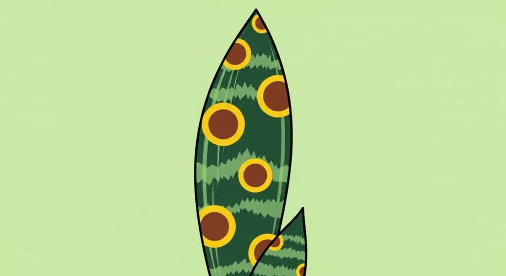 Flat illustration of snake plant leaf showing fungal brown spots with yellow halo