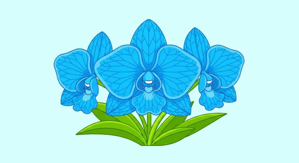Cartoon of a blue Vanda orchid with patterned petals on a light sky-blue background