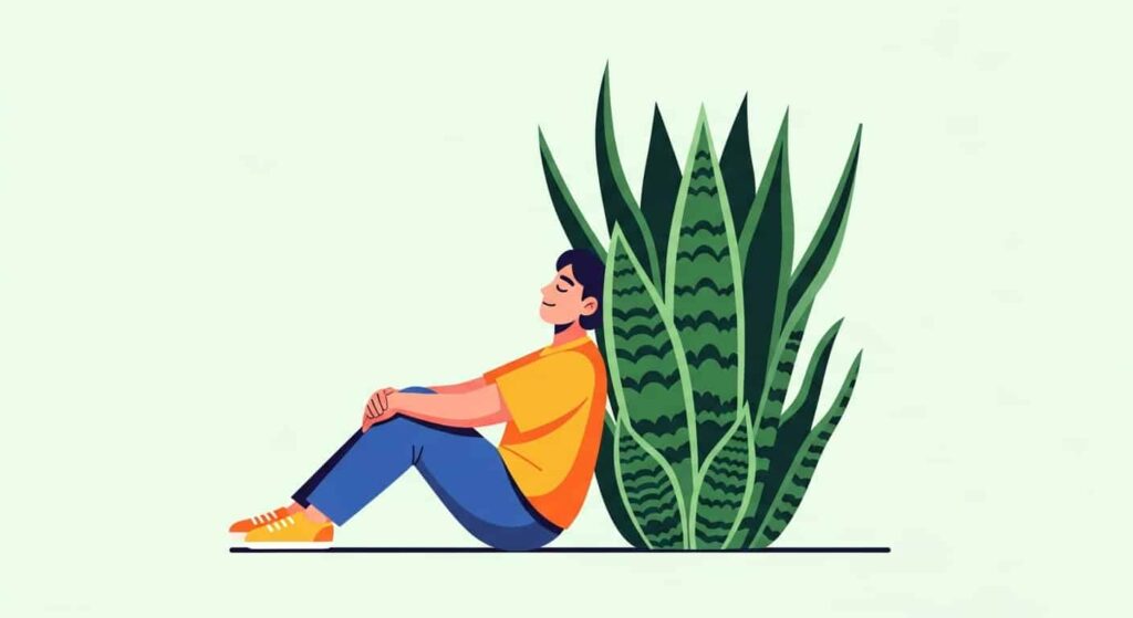 3. Stress Reduction and Mental Health Support