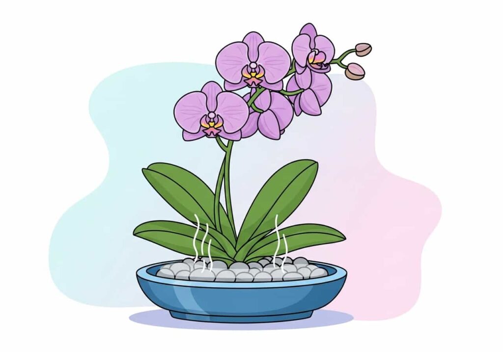 Flat cartoon diagram of orchid roots growing in bark, charcoal, and perlite mix
