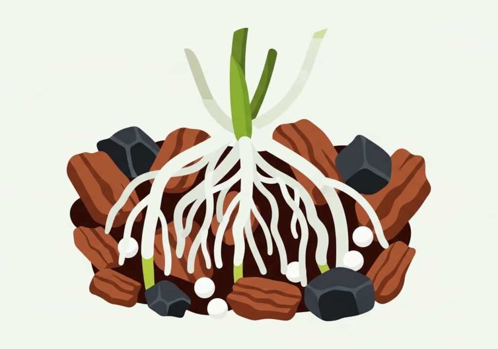 Flat cartoon diagram of orchid roots growing in bark, charcoal, and perlite mix