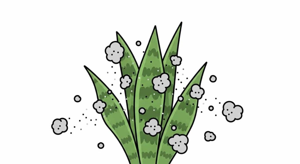 Snake plant cartoon reducing dust and allergens in the air