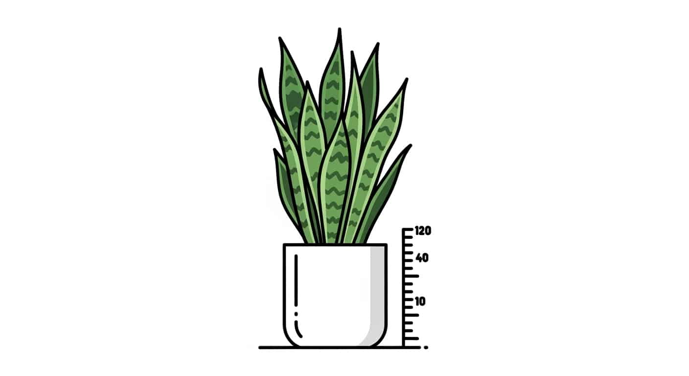How Fast Do Snake Plants Grow? A Complete Guide