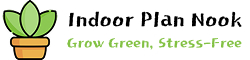 Indoor Plant Nook