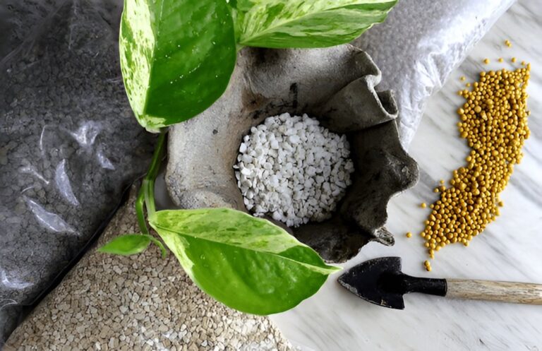 Can You Grow Pothos from Seeds? (The Truth About Pothos Seeds)