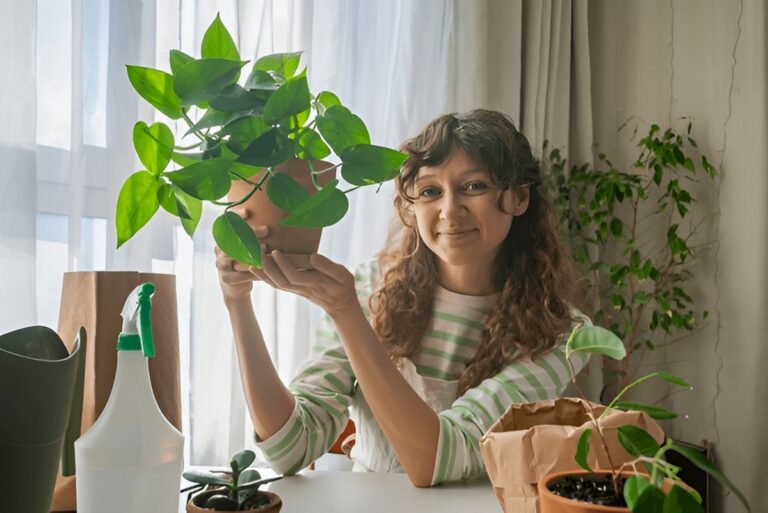 Why Pothos Is the Best Plant for Beginners (and Everyone Else)